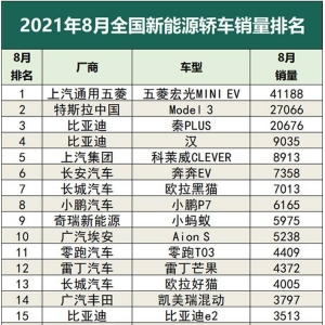 2021年8月国内新能源汽车销量榜