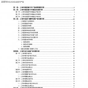 （十四五）上海市新能源汽车产业投资布局分析报告（政策 ... ...