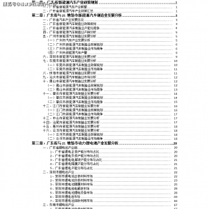 （2021版）广东省深圳市新能源汽车产业投资布局分析报告 ...