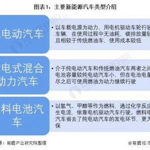 【行业深度】洞察2021：2021年中国新能源汽车行业竞争 ...