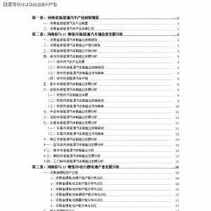 （2021版）河南省郑州市新能源汽车产业投资分析报告 ...