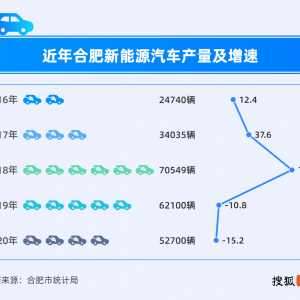 狂飙突进的合肥，要当新能源汽车届的“顶流”