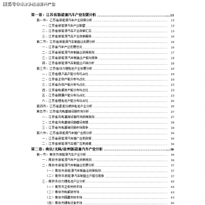 （2021版）江苏省南京市新能源汽车产业投资布局分析报告 ...