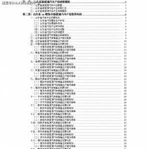 （2021版）山东省济南市新能源汽车产业投资布局报告 ...