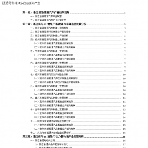 （2021版）浙江省杭州市新能源汽车产业投资分析报告 ...