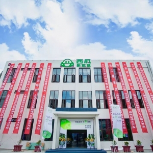 优品车涉足新能源汽车销售全国将建2000家门店