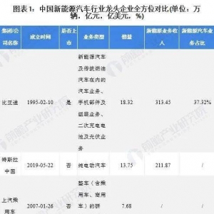 干货！2021年中国新能源汽车龙头企业分析——比亚迪 ...