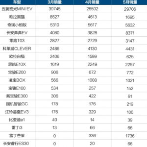 几家欢喜几家愁，微小型纯电市场变化多！