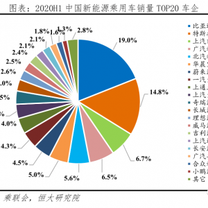 中国新能源汽车发展报告2020：资本市场大爆发