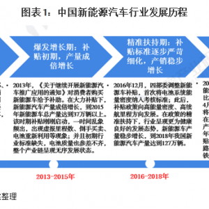 2020年中国新能源汽车市场发展现状和竞争格局分析 五菱 ...