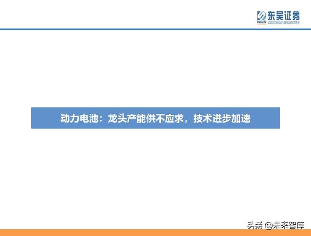 电动车行业深度研究及2022年度策略报告：万紫千红总是春