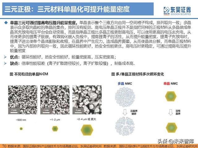 电动车行业深度研究及2022年度策略报告：万紫千红总是春