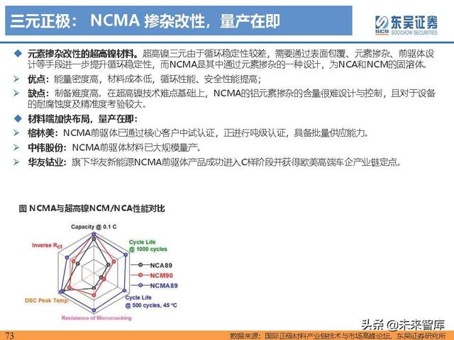 电动车行业深度研究及2022年度策略报告：万紫千红总是春