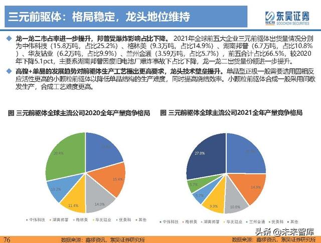 电动车行业深度研究及2022年度策略报告：万紫千红总是春