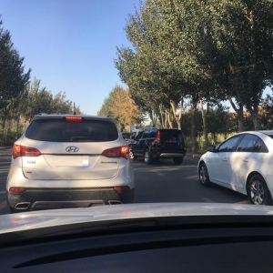 在南方随处可见新能源汽车，为什么在北方那么少见？