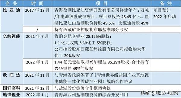 海外收紧！锂资源抢夺由外转内