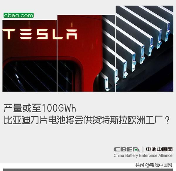 产量或至100GWh，比亚迪刀片电池将会供货特斯拉欧洲工厂？