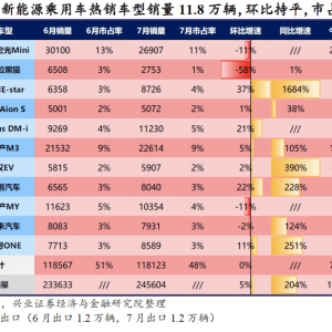 比亚迪秦DMI强势放量，电车渗透率17%再创新高| 兴证电新 &#183; ... ...