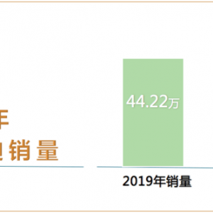 知乎体：如何评价比亚迪2020年42.69万销量？