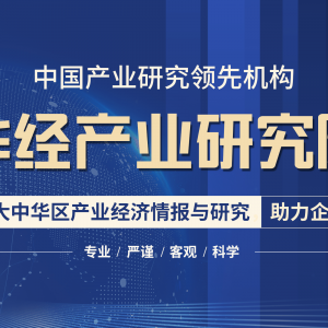 2021-2026年中国电动车行业市场深度分析及“十四五”规划战略 ... ...