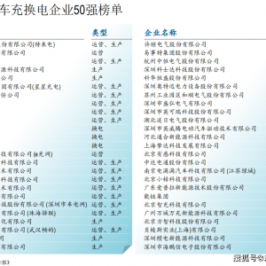 新能源汽车充换电企业哪家强？前50榜单解读市场趋势