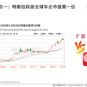 艾媒咨询|2020-2021年中国新能源汽车产业研究及典型案例 ...