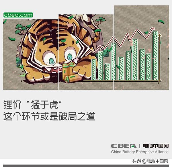 锂价“猛于虎”这个环节或是破局之道