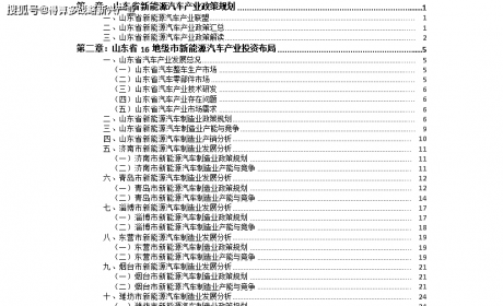 （2021版）山东省淄博市新能源汽车产业投资布局分析报告 ...