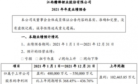 锂盐产品量价齐升 赣锋锂业2021年预盈逾48亿元