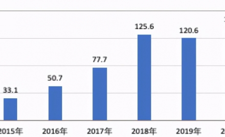 鞠传江：中国新能源汽车能够领跑世界吗？