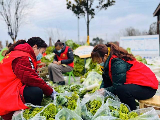 50多人忙活11小时 温江这2辆货车上除了蔬菜更有“兄弟情谊”