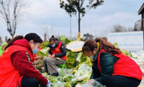 50多人忙活11小时 温江这2辆货车上除了蔬菜更有“兄弟情谊”