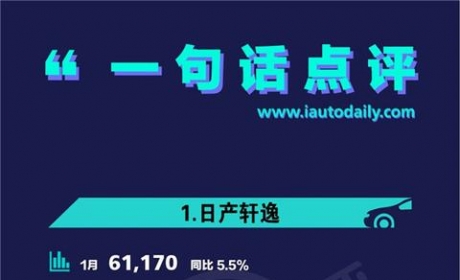 一句话点评1月中级车：谁抢走了丰田“两兄弟”的量？