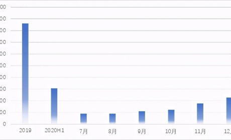 复盘2019年-2020年新能源汽车市场：消费结构变化显著