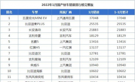 1月国产轿车销量排行榜,比亚迪秦PLUS表现抢眼