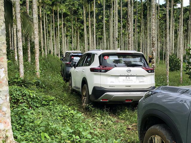 “南极”雨林穿越 全新一代奇骏试驾体验