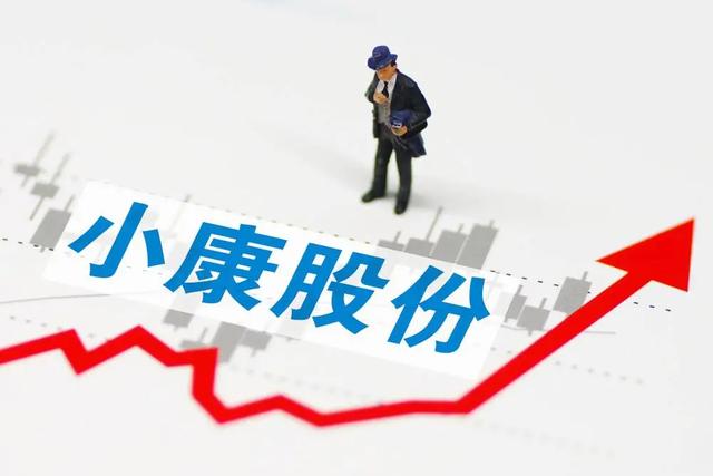 汽车大观｜缺乏技术底蕴 卷入内幕交易传闻 小康股份前途堪忧？