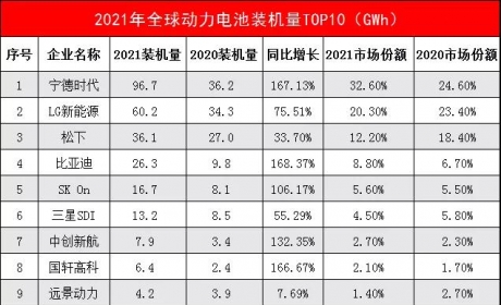 「言轮大数据」2021年新能源动力电池装机量，宁德时代全球第一