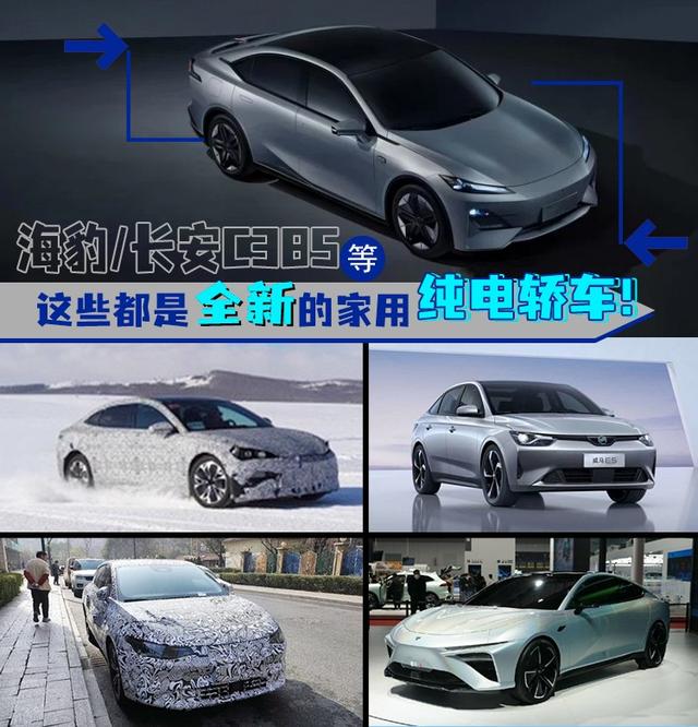 海豹/长安C385等，这些都是全新的家用纯电轿车！