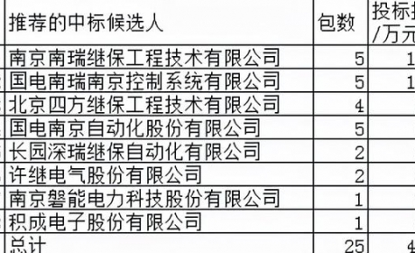 国网继电保护5亿8企分，3军团成型南瑞两占54%四方领4企占38.7%