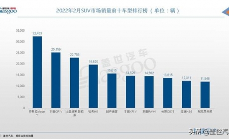 2月SUV销量TOP10：Model Y夺冠，宋PLUS闯进前三