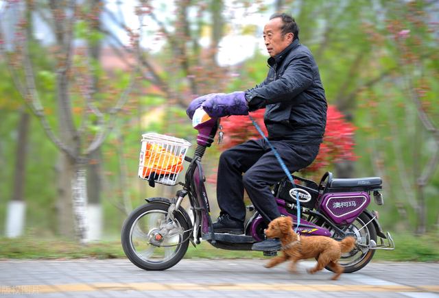 摩托车D/E/F驾照，能驾驶电动车、三轮车、老年代步车吗？明确了