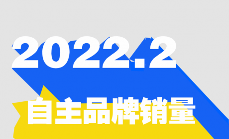 2月自主品牌批发销量排行：长安/长城逆势大比例下滑 金康新能源同比增超14倍 ...