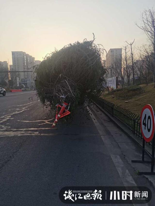 超长10米，杭州高速上这辆货车可真是树大招风