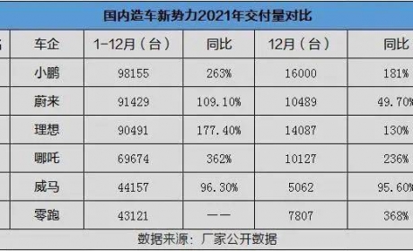 造车新势力2021 小鹏汽车夺得第一