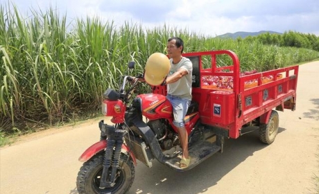 最大载重1吨，最远续航120km，3款电动三轮车新品，动力大还安全