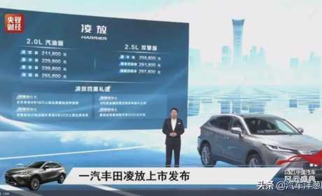 最低售价21万！全新丰田凌放正式上市，定位高于RAV4