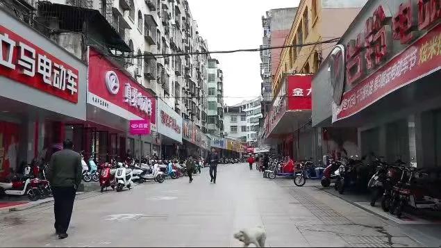 海外市场需求猛增，多种利好来袭，电动车市场会迎来新的春天吗？