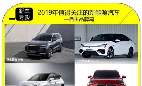 2019年值得关注的新能源汽车——自主品牌篇