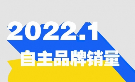 1月自主品牌批发销量排行：长安超吉利、长城夺冠 一汽轿车/北汽大比例下降 ...